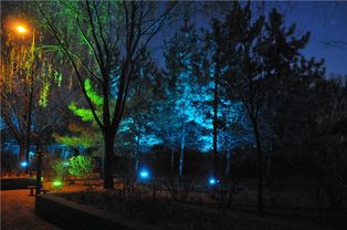 城市亮化工程之公園景觀照明設(shè)計(jì)